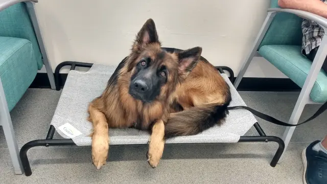 Manzano Animal Clinic — customer photo 4