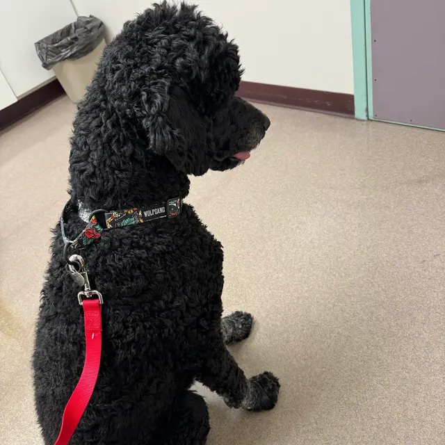 Manzano Animal Clinic — customer photo 5