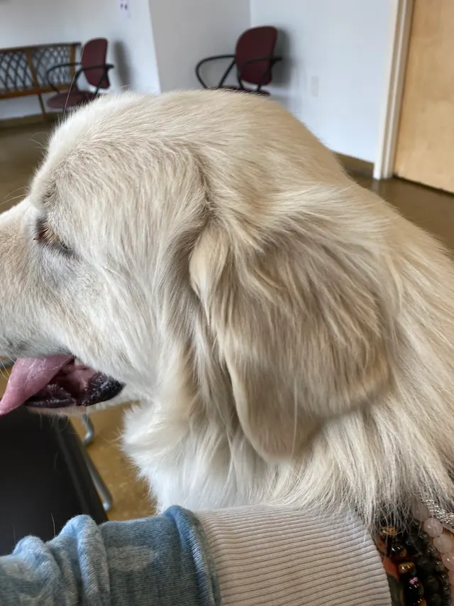 Taylor Ranch Veterinary Hospital — customer photo 7