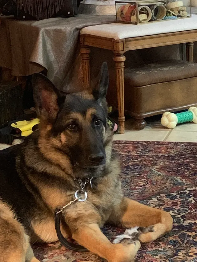 Taylor Ranch Veterinary Hospital — customer photo 5