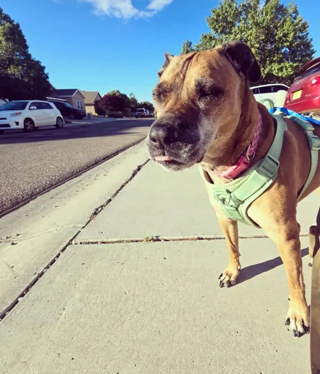 Taylor Ranch Veterinary Hospital — customer photo 10