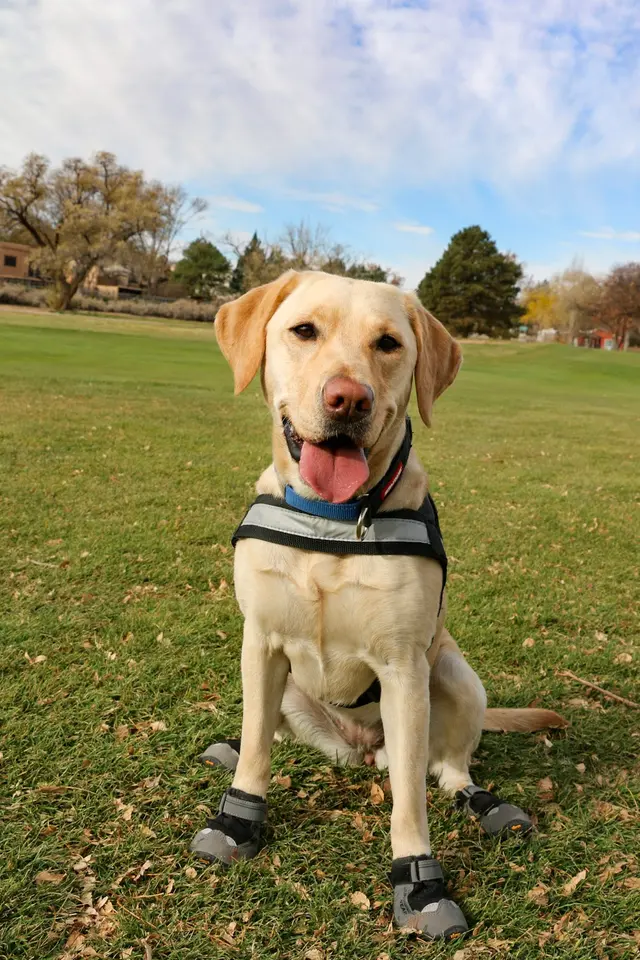 Taylor Ranch Veterinary Hospital — customer photo 4