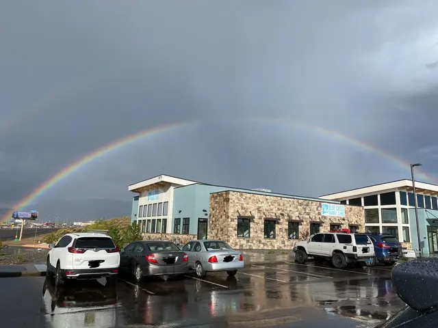 Blue Cross Animal Clinic — photo from the business 11