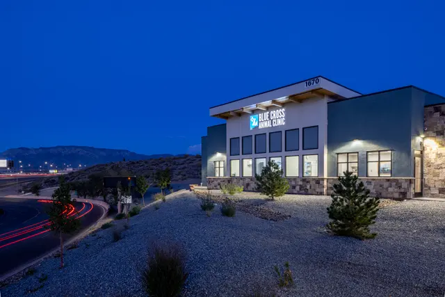 Blue Cross Animal Clinic — photo from the business 2