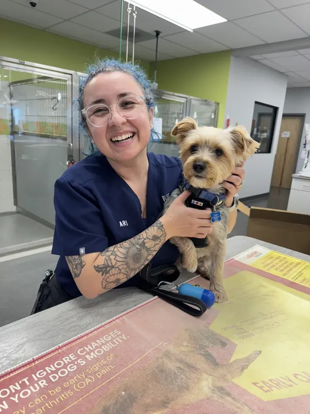 Blue Cross Animal Clinic — photo from the business 1