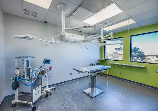Blue Cross Animal Clinic — photo from the business 5