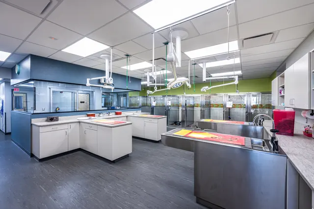 Blue Cross Animal Clinic — photo from the business 7