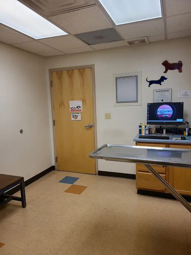 Del Norte Animal Clinic — photo from the business 2