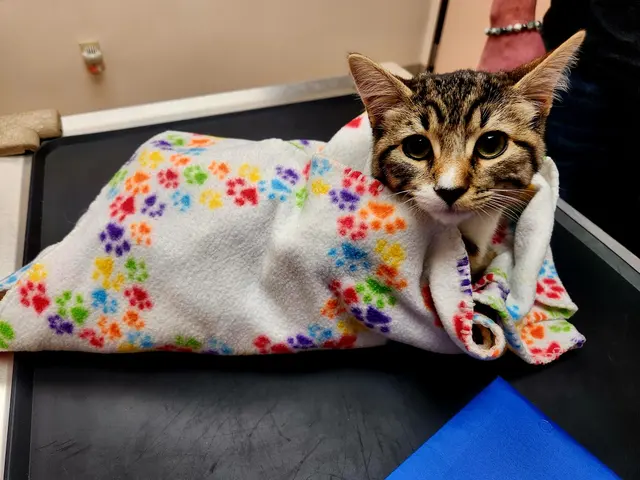 Aztec Animal Clinic — customer photo 5