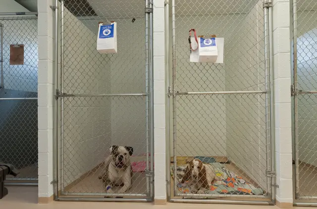 Aztec Animal Clinic — photo from the business 2