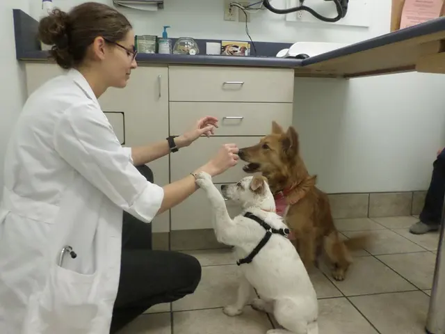 Aztec Animal Clinic — photo from the business 8