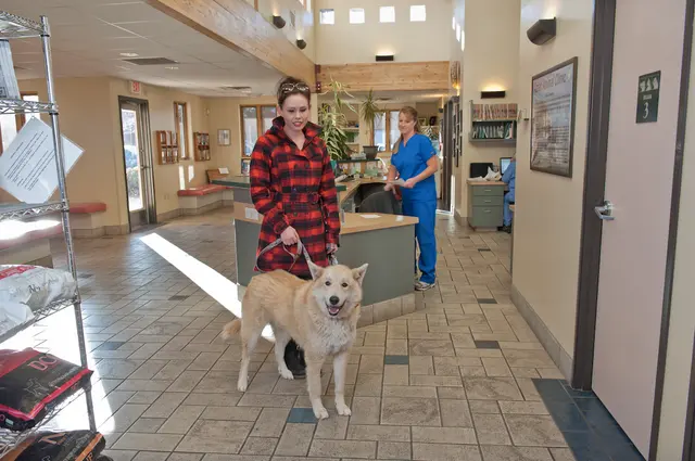 Aztec Animal Clinic — photo from the business 9