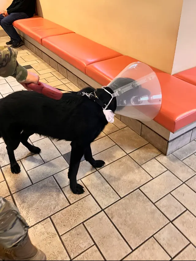 Aztec Animal Clinic — customer photo 4