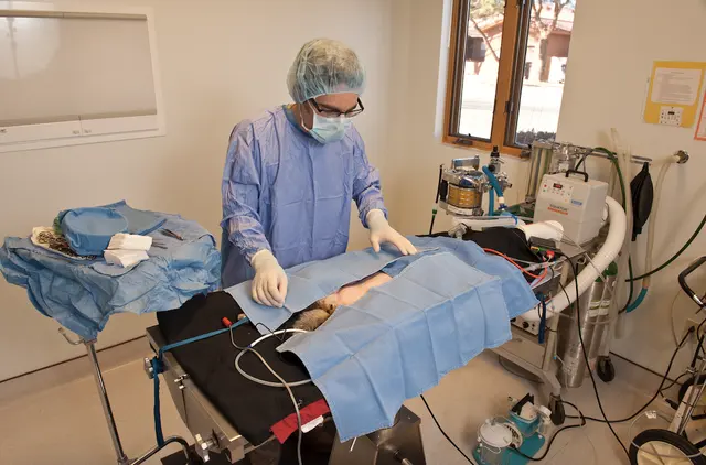 Aztec Animal Clinic — photo from the business 7