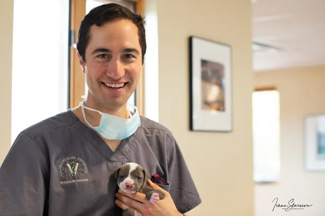 Aztec Animal Clinic — photo from the business 3