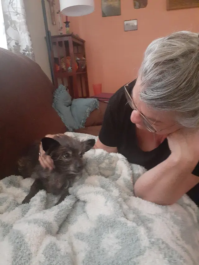 Lomas Veterinary Clinic — customer photo 9