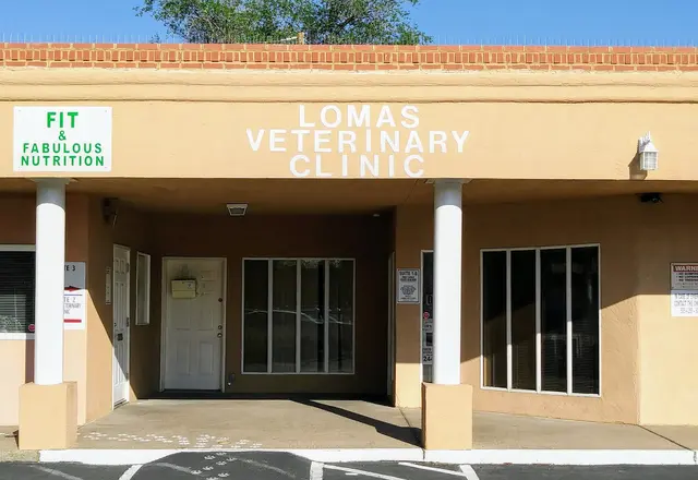 Lomas Veterinary Clinic — customer photo 7