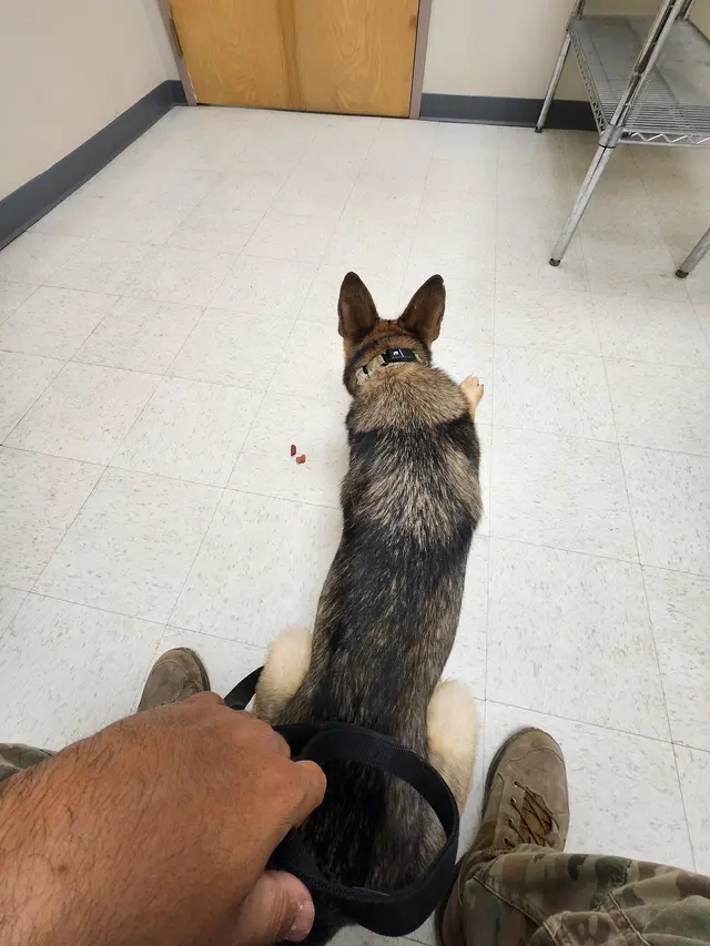 TLC Pet Hospital — customer photo 6