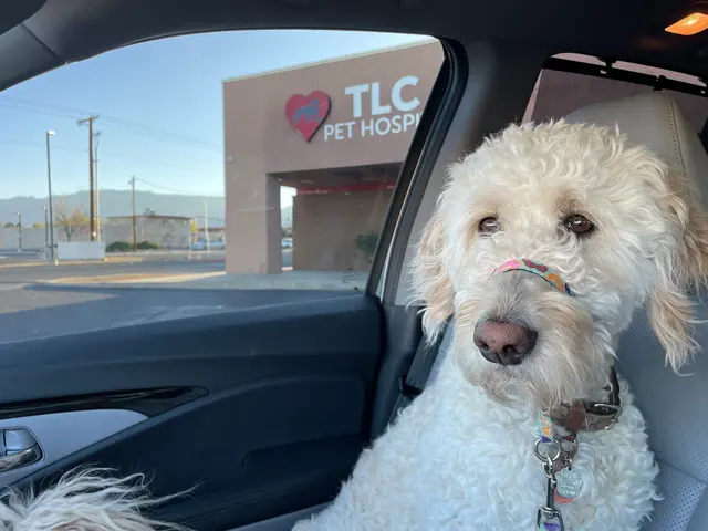 TLC Pet Hospital — customer photo 7