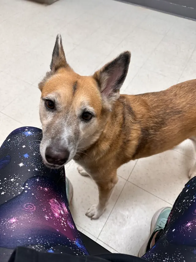 TLC Pet Hospital — customer photo 3