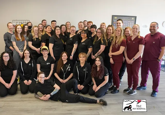TLC Pet Hospital — photo from the business 1