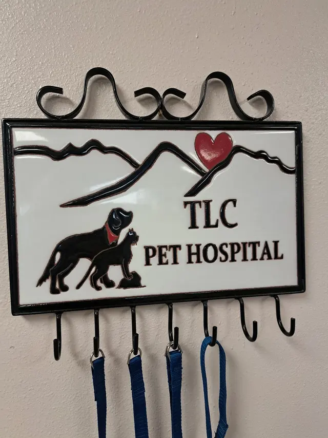 TLC Pet Hospital — customer photo 12