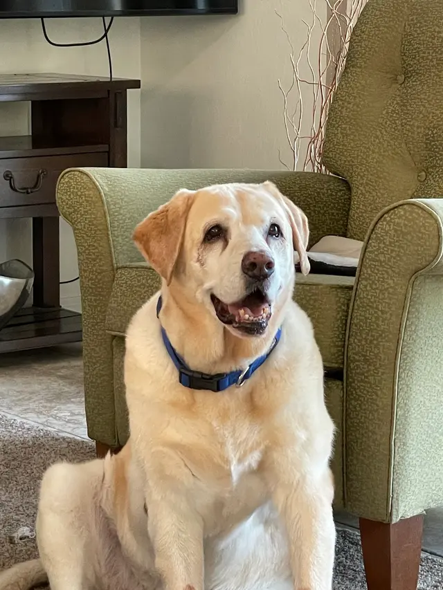 Eubank Animal Clinic — customer photo 9
