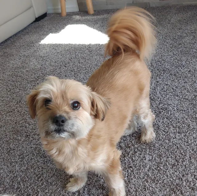 Eubank Animal Clinic — customer photo 5