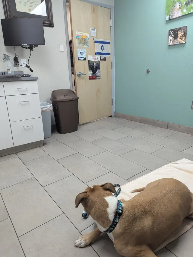Eubank Animal Clinic — customer photo 1