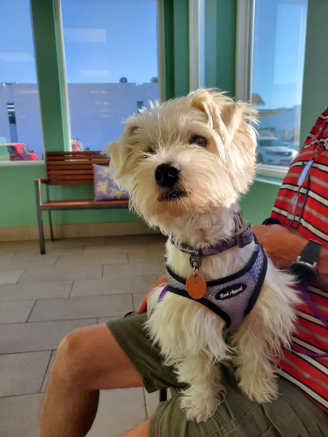 Eubank Animal Clinic — customer photo 6