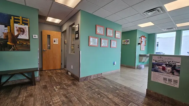 Eubank Animal Clinic — customer photo 4