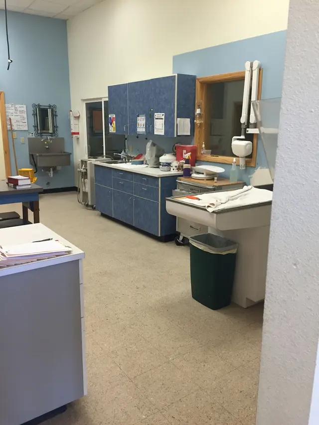 4 Paws Pet Hospital, A Thrive Pet Healthcare Partner — photo from the business 12