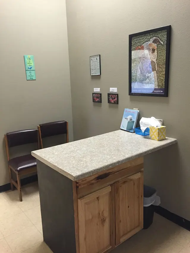4 Paws Pet Hospital, A Thrive Pet Healthcare Partner — photo from the business 5