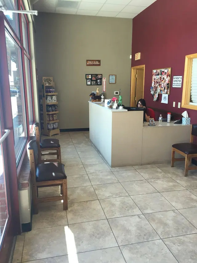 4 Paws Pet Hospital, A Thrive Pet Healthcare Partner — photo from the business 2