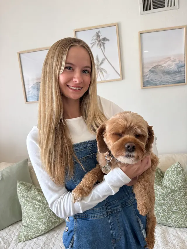 Comfy Home Dog Boarding — photo from the business 1