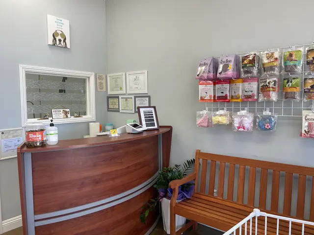 Pet Star Grooming (Bow & Meow) — photo from the business 5