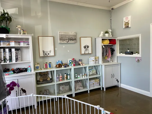 Pet Star Grooming (Bow & Meow) — photo from the business 10