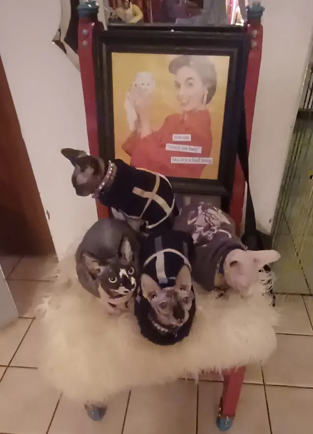 Customer photo of work by Muddy Paws Pet Grooming, from September Apple's review