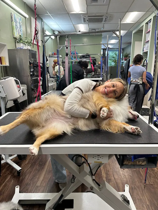 Oasis Pet Spa & Grooming — customer photo 2