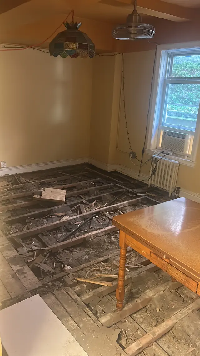 NuBorn Pest Control — customer photo 7