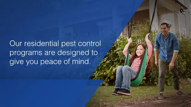 NuBorn Pest Control — photo from the business 6