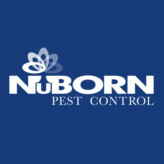 NuBorn Pest Control — photo from the business 5