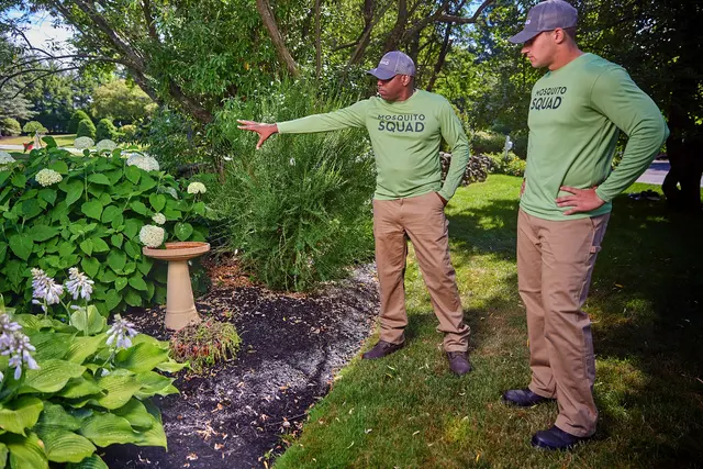 Mosquito Squad of Southern Westchester & Rockland County — photo from the business 7