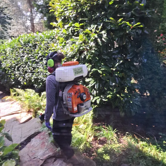 Customer photo of work by Mosquito Squad of Southern Westchester & Rockland County, from J Mahaney's review