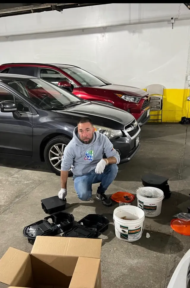 Mount Vernon Exterminator At Last Pest Control — photo from the business 3