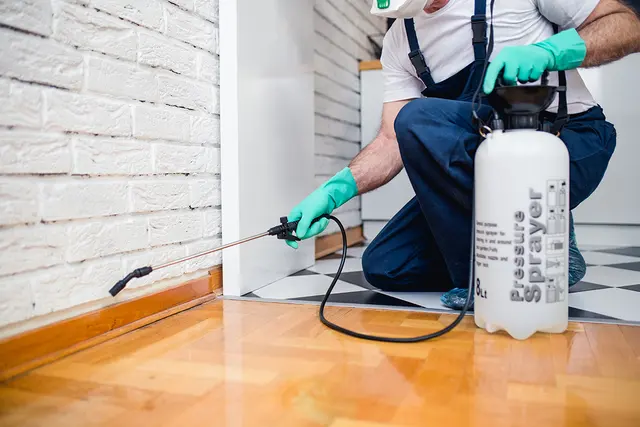 Mount Vernon Exterminator At Last Pest Control — photo from the business 1