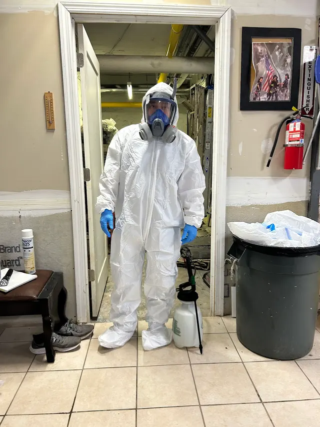 Mount Vernon Exterminator At Last Pest Control — photo from the business 4