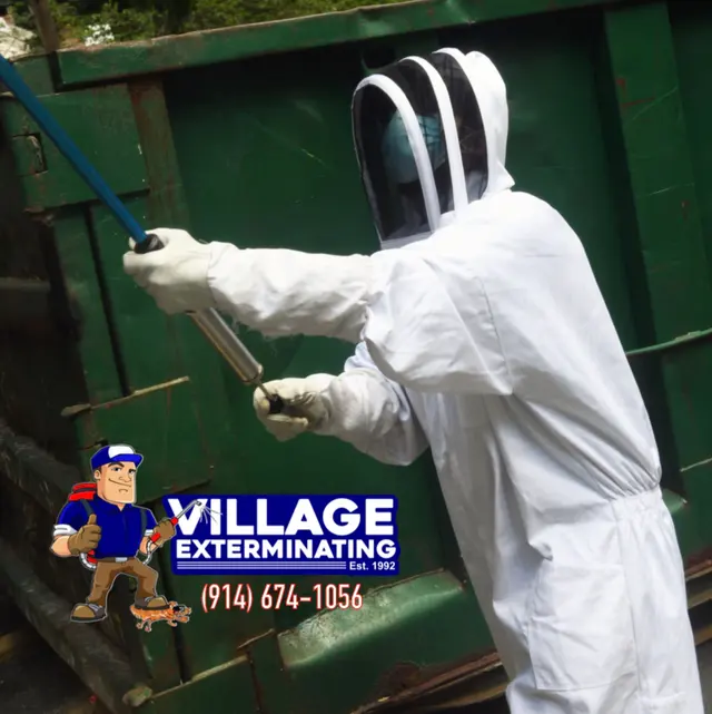 Village Exterminating — photo from the business 2
