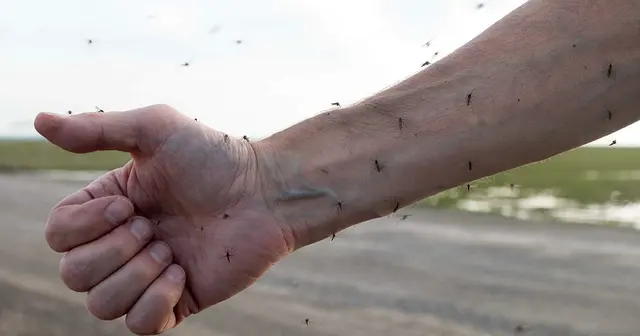 Mosquito Shield of Westchester County NY — photo from the business 5