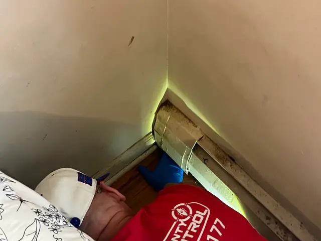 TRI-COUNTY PEST CONTROL.INC. — customer photo 1